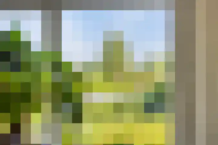 Alphensebaan 4 Chaam thumbnail 22