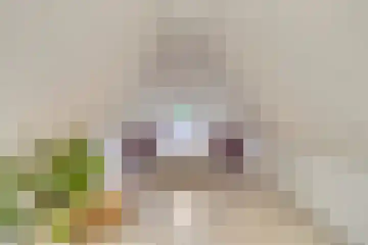 Alphensebaan 4 Chaam thumbnail 24