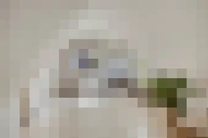 Alphensebaan 4 Chaam thumbnail 25