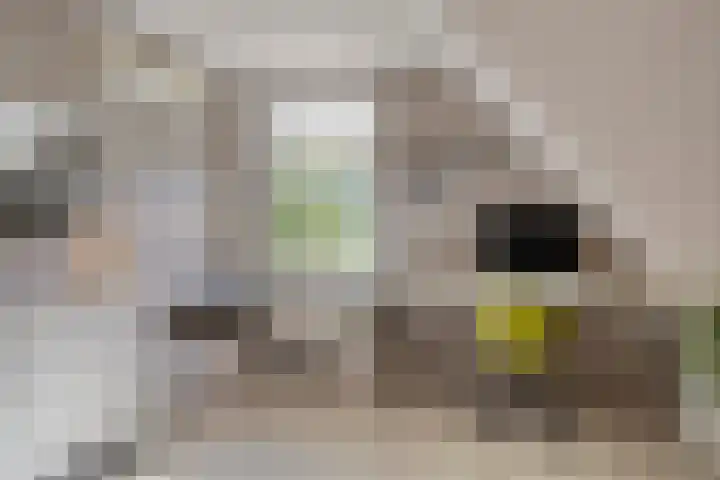 Alphensebaan 4 Chaam thumbnail 26