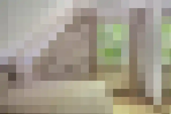 Alphensebaan 4 Chaam thumbnail 27