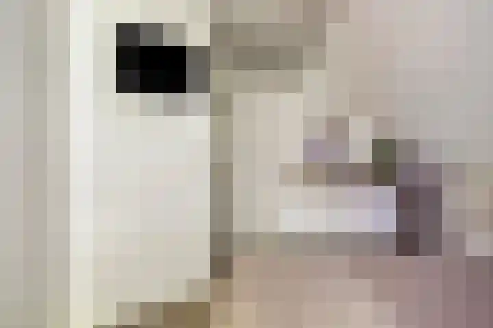 Alphensebaan 4 Chaam thumbnail 28