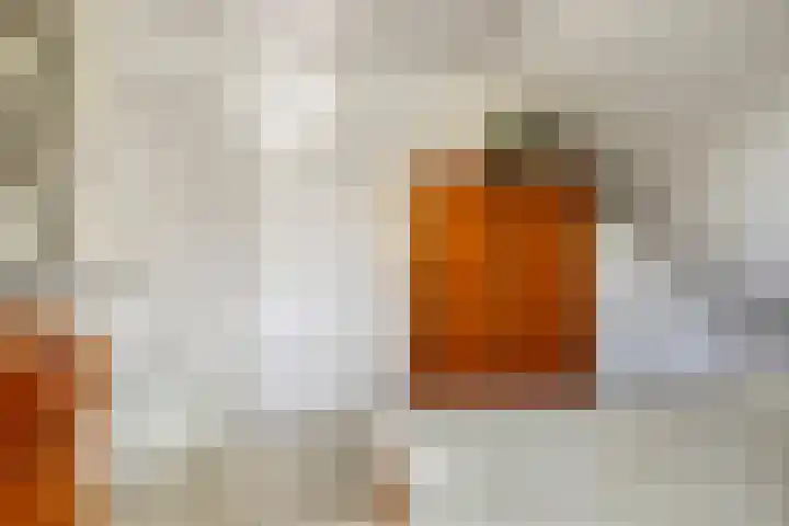 Alphensebaan 4 Chaam thumbnail 31
