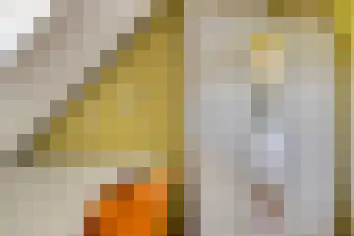 Alphensebaan 4 Chaam thumbnail 33