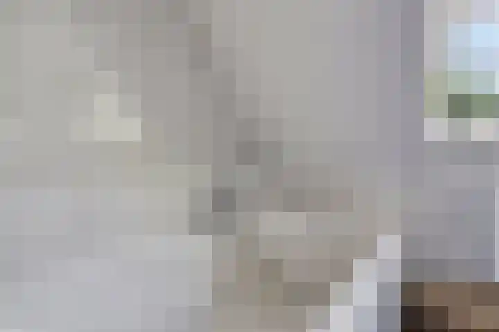 Alphensebaan 4 Chaam thumbnail 38