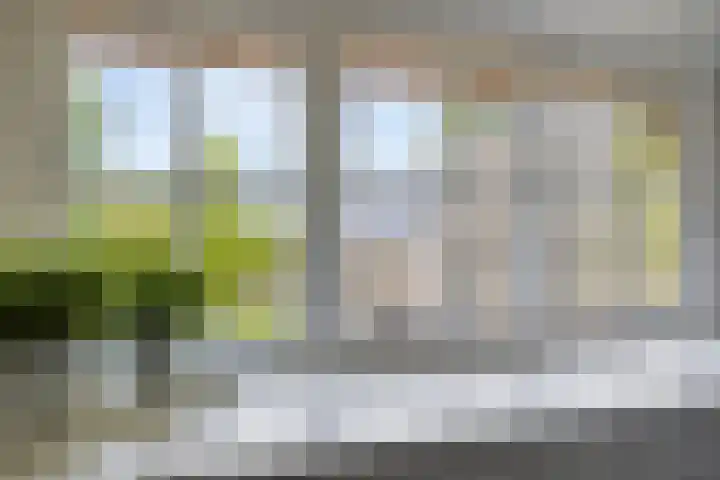Alphensebaan 4 Chaam thumbnail 39