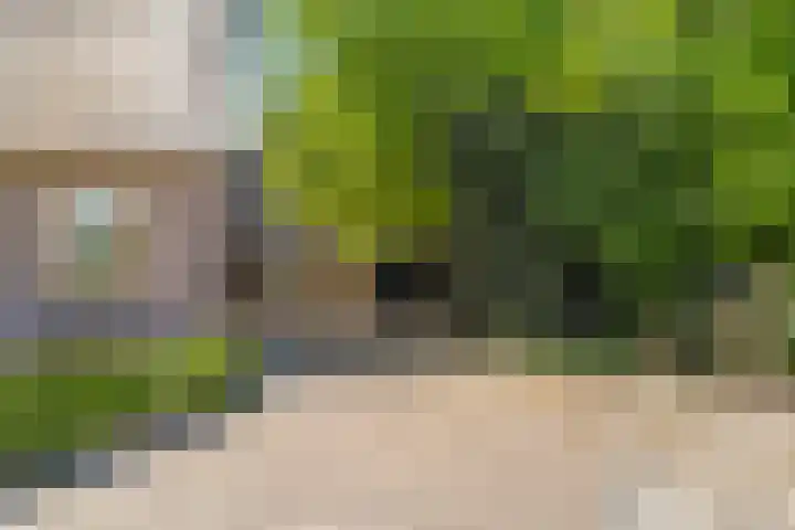 Alphensebaan 4 Chaam thumbnail 4