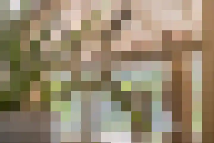 Alphensebaan 4 Chaam thumbnail 46