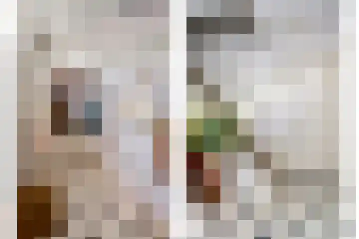 Alphensebaan 4 Chaam thumbnail 5