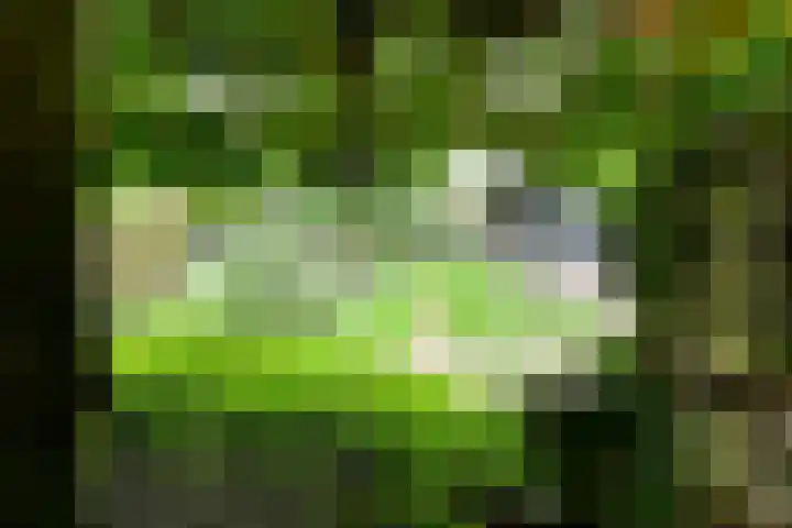 Alphensebaan 4 Chaam thumbnail 53