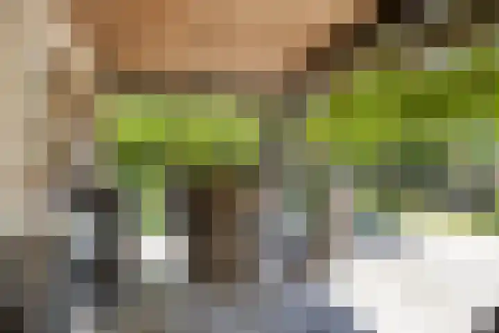 Alphensebaan 4 Chaam thumbnail 55