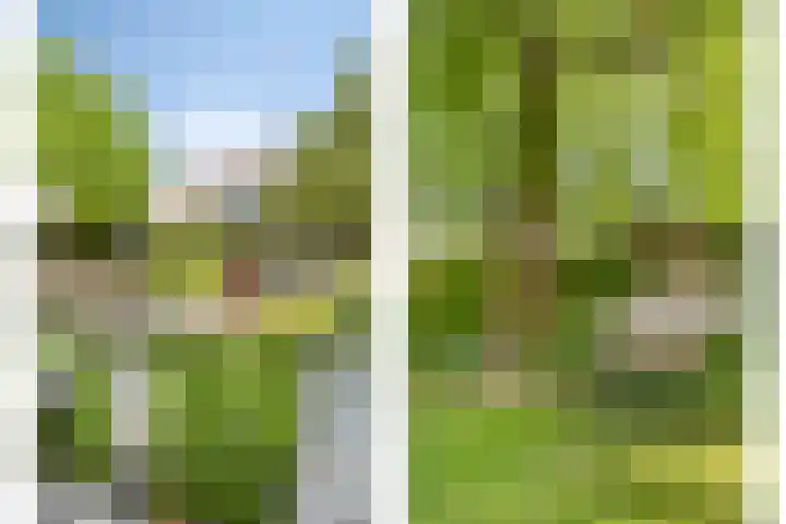Alphensebaan 4 Chaam thumbnail 56