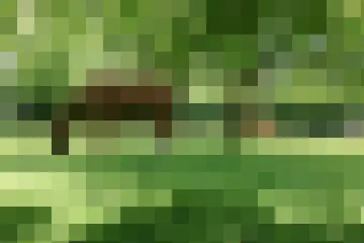 Alphensebaan 4 Chaam thumbnail 58