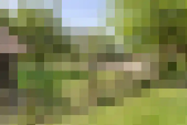 Alphensebaan 4 Chaam thumbnail 59