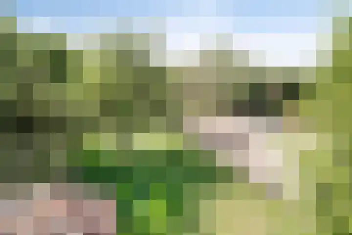 Alphensebaan 4 Chaam thumbnail 60