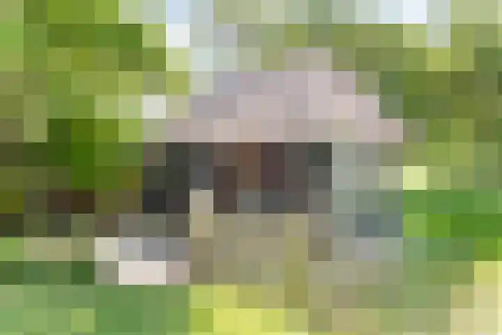 Alphensebaan 4 Chaam thumbnail 61