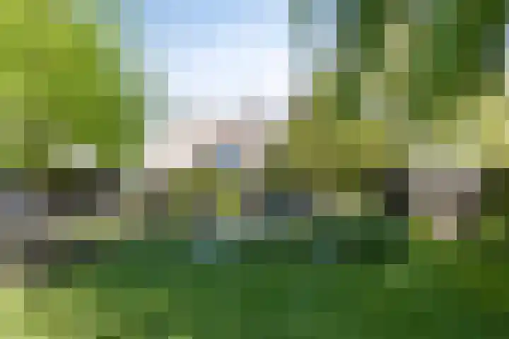 Alphensebaan 4 Chaam thumbnail 62