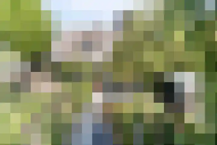 Alphensebaan 4 Chaam thumbnail 63