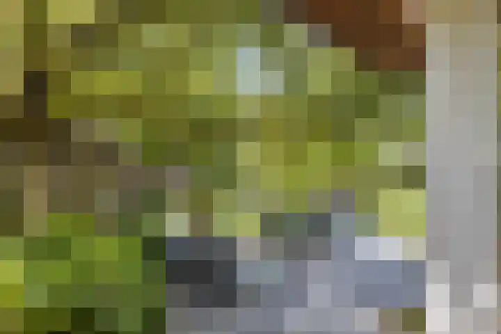 Alphensebaan 4 Chaam thumbnail 64