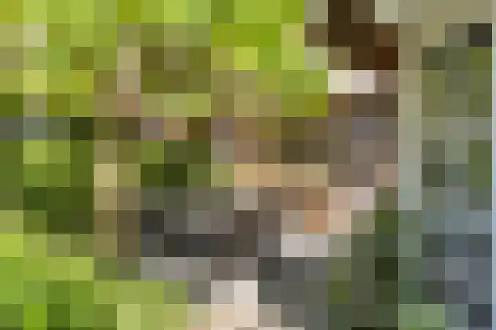 Alphensebaan 4 Chaam thumbnail 65