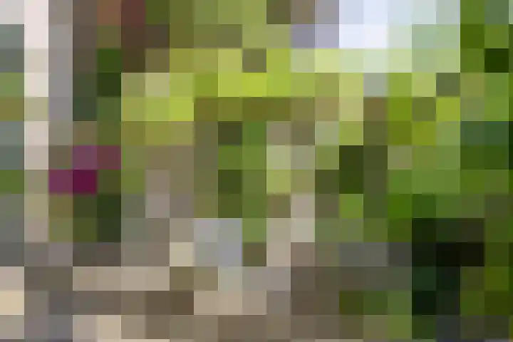 Alphensebaan 4 Chaam thumbnail 66