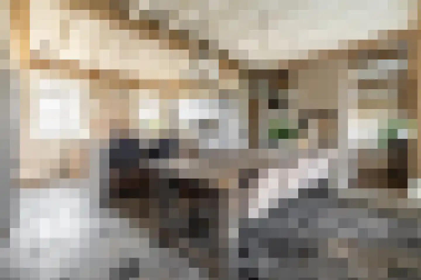 Alphensebaan 5 a Chaam thumbnail 13