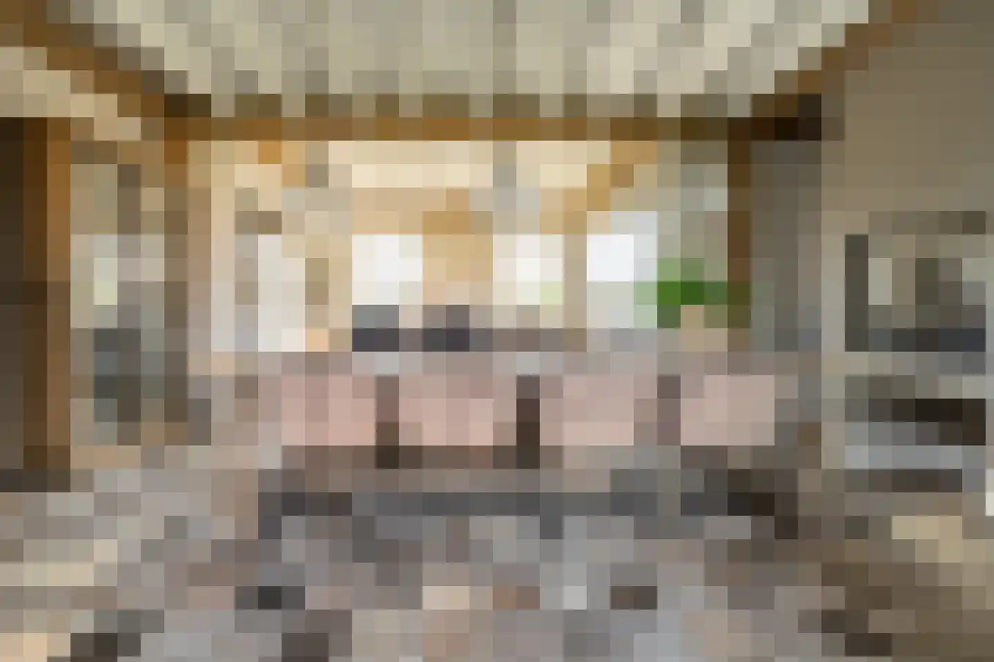 Alphensebaan 5 a Chaam thumbnail 14