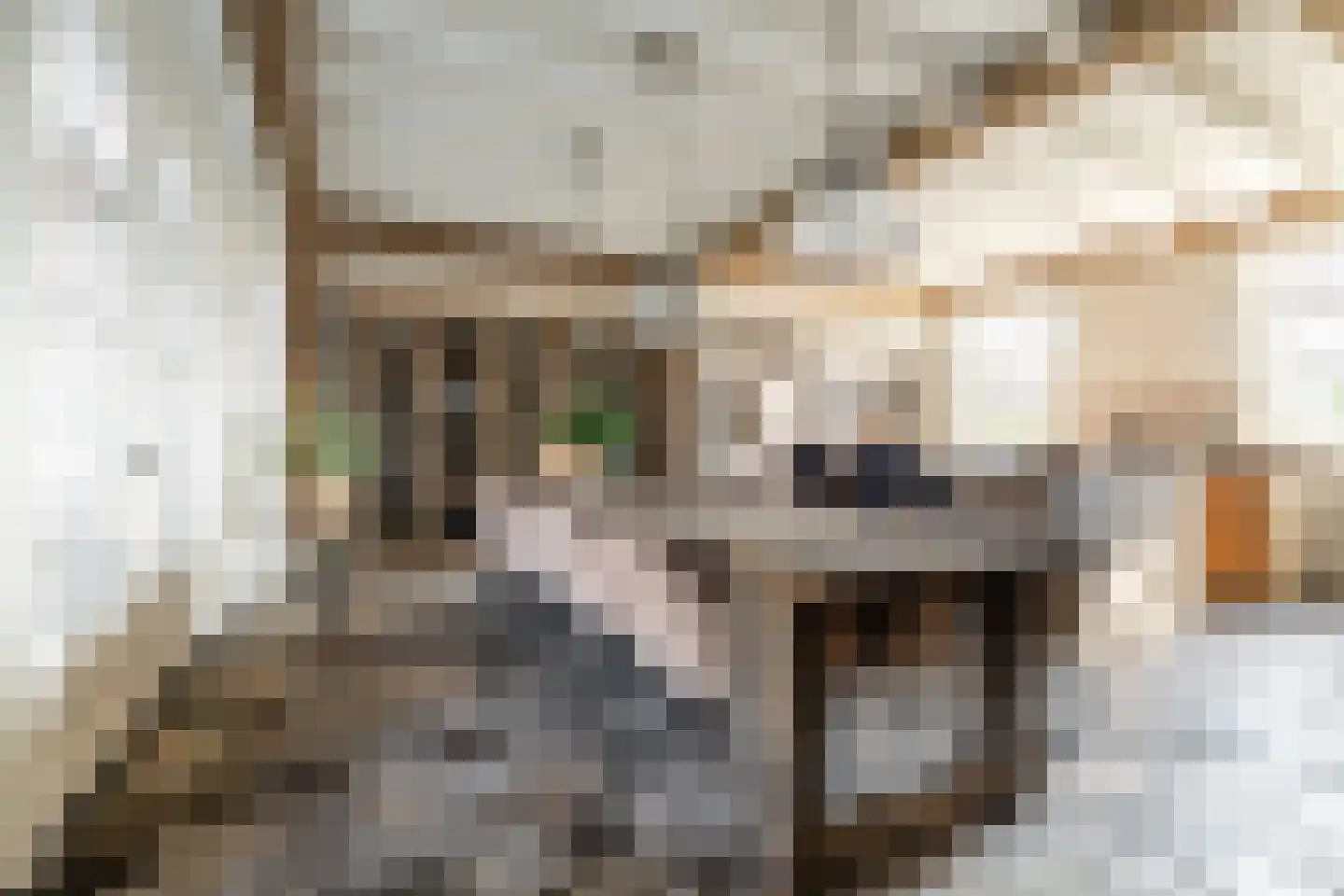 Alphensebaan 5 a Chaam thumbnail 15