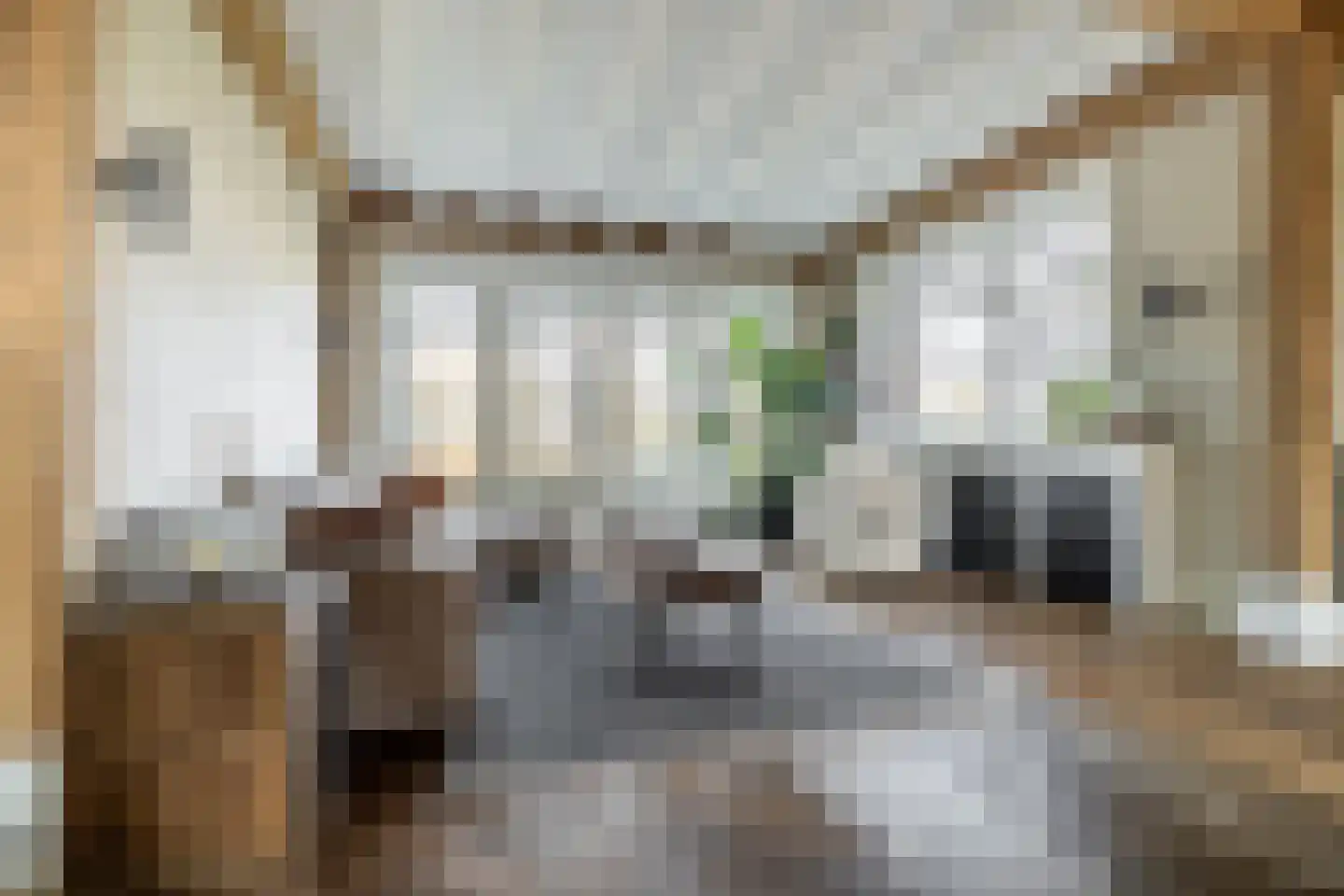 Alphensebaan 5 a Chaam thumbnail 19