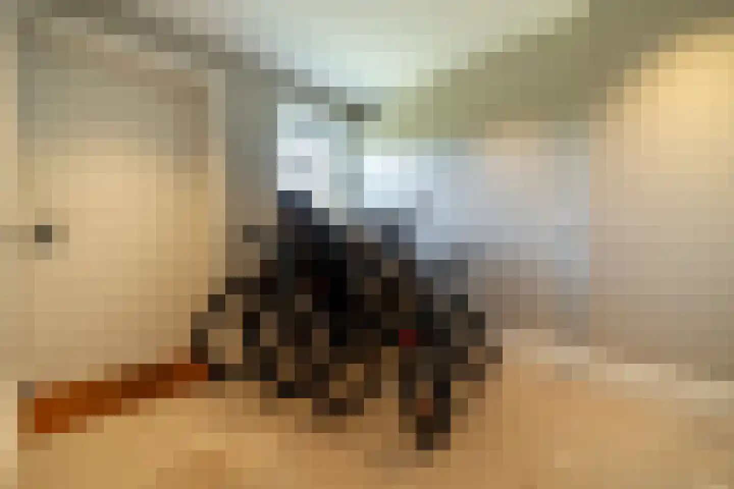 Alphensebaan 5 a Chaam thumbnail 24