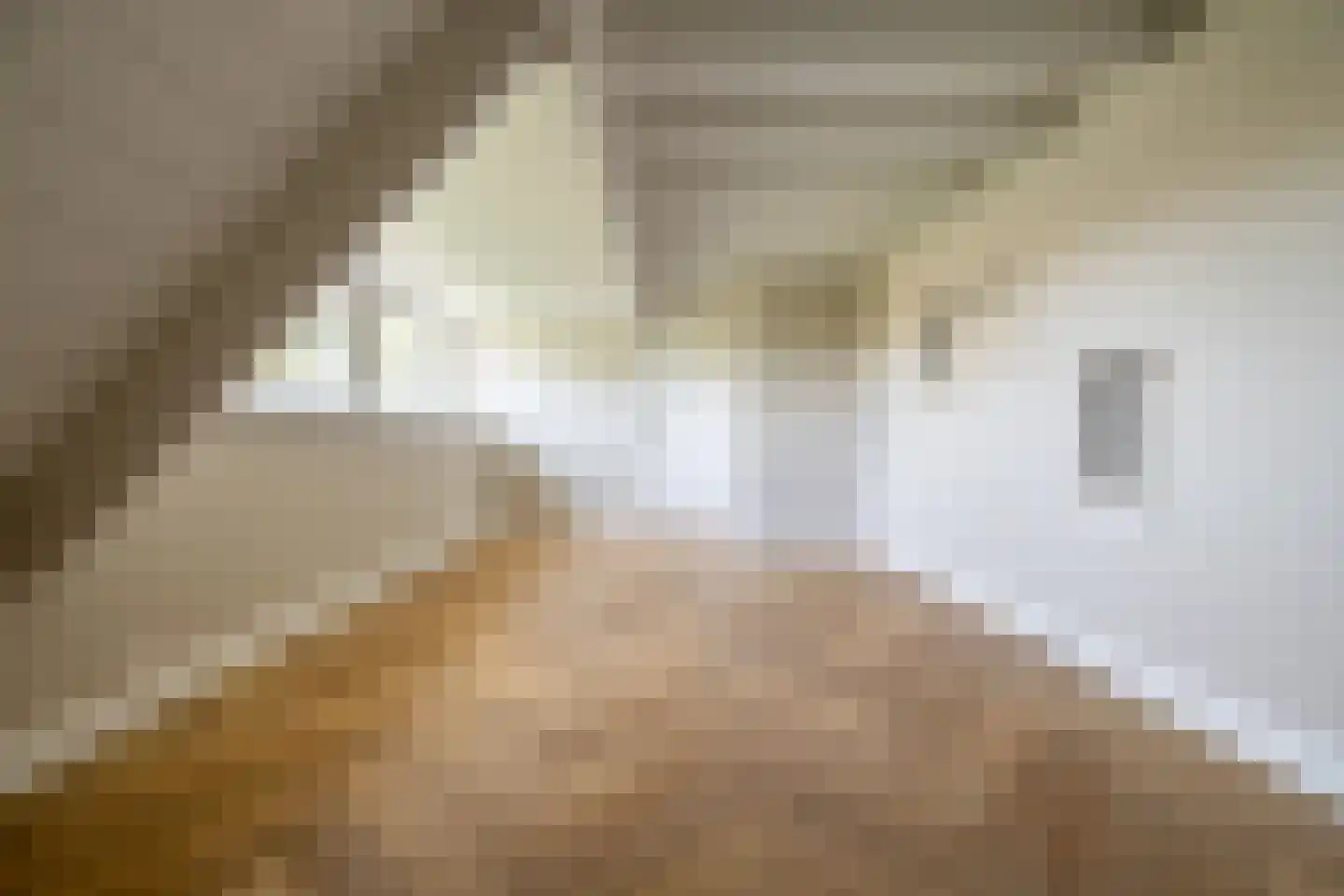 Alphensebaan 5 a Chaam thumbnail 26