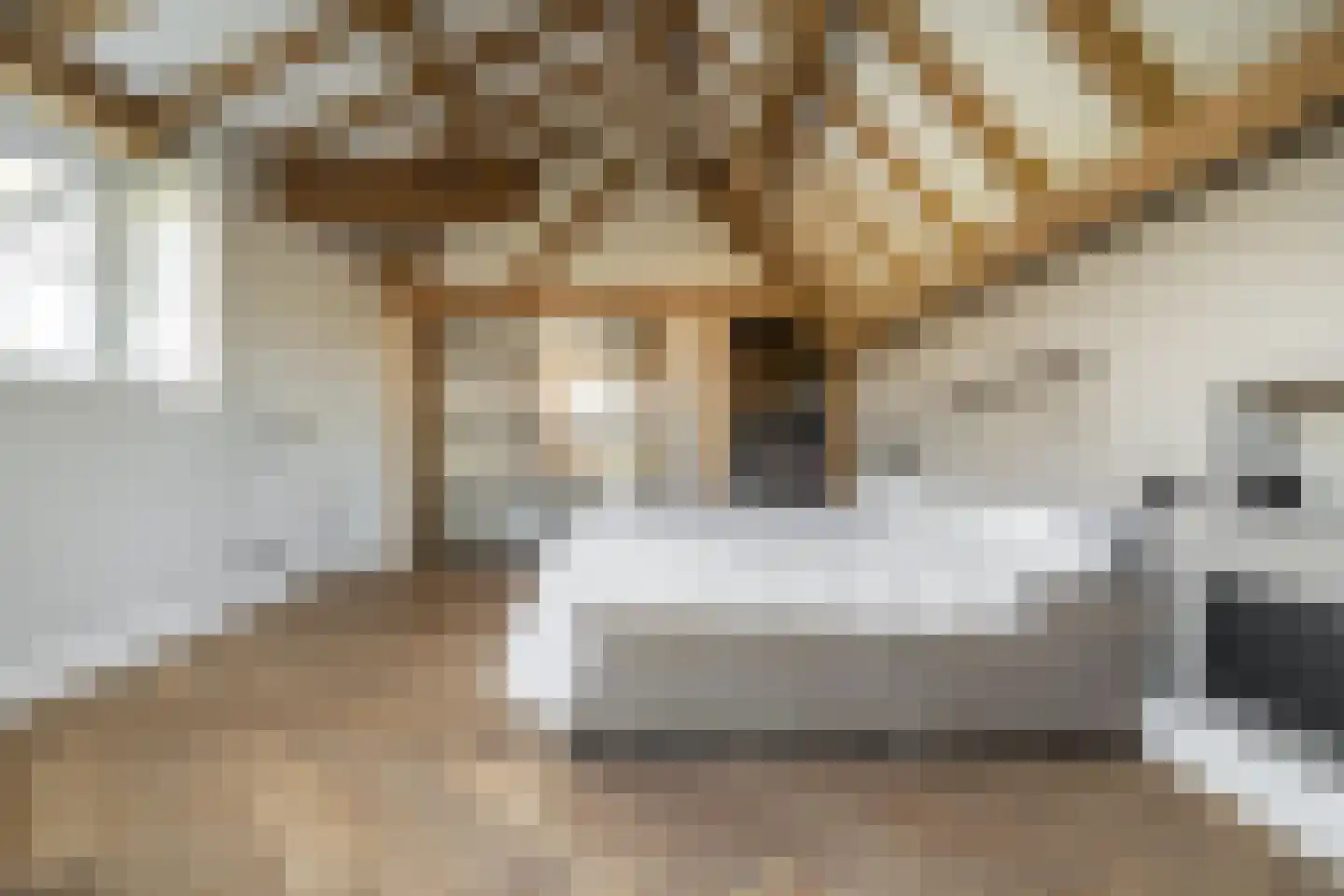 Alphensebaan 5 a Chaam thumbnail 31