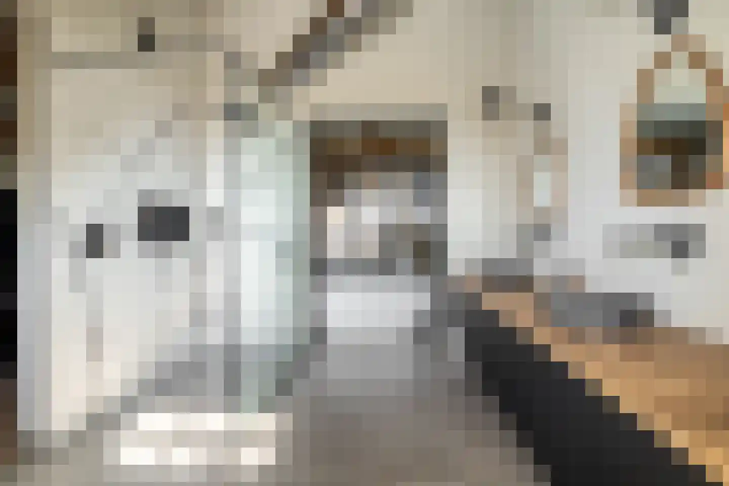 Alphensebaan 5 a Chaam thumbnail 34