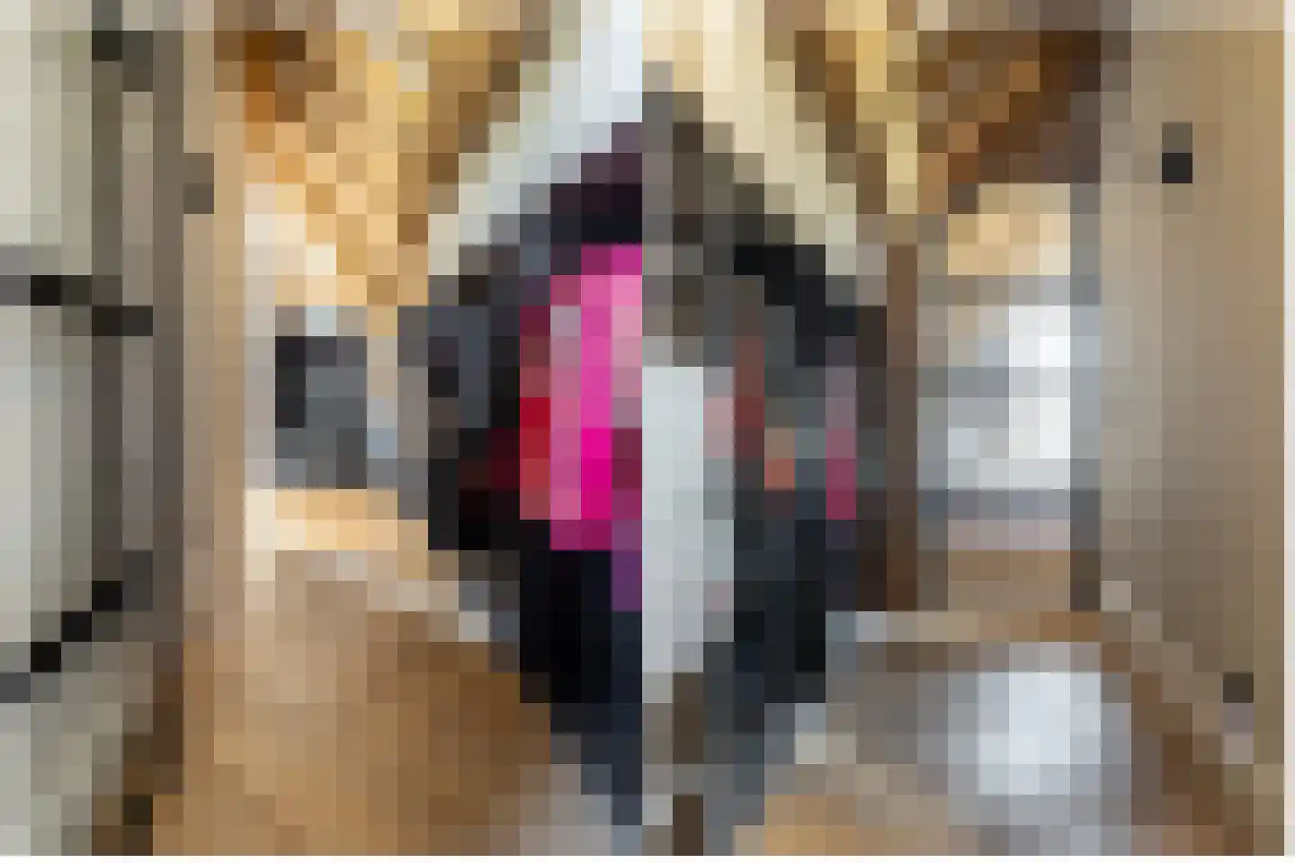 Alphensebaan 5 a Chaam thumbnail 36