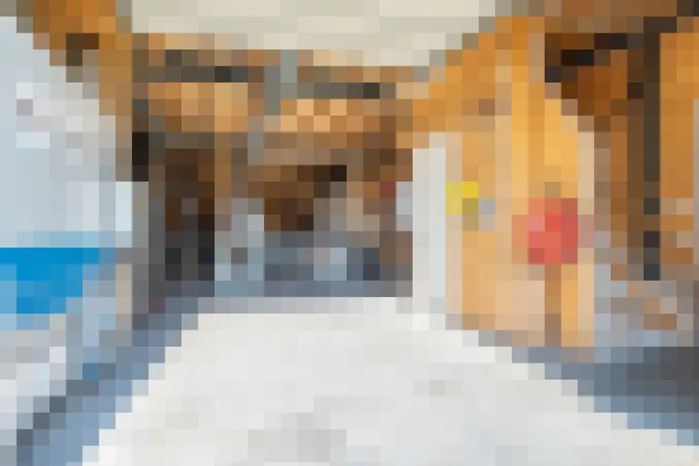 Alphensebaan 5 a Chaam thumbnail 43
