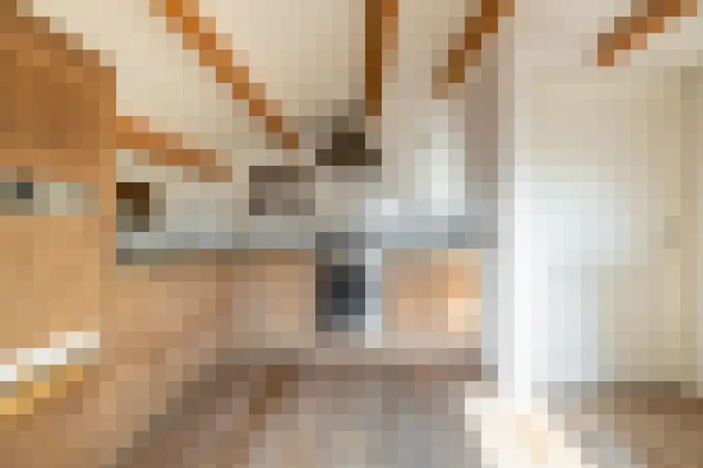 Alphensebaan 5 a Chaam thumbnail 45