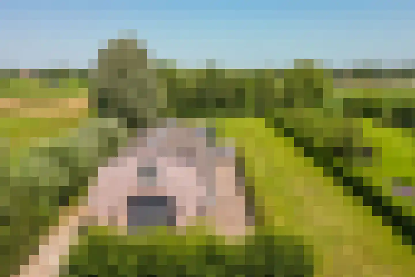 Alphensebaan 5 a Chaam thumbnail 55