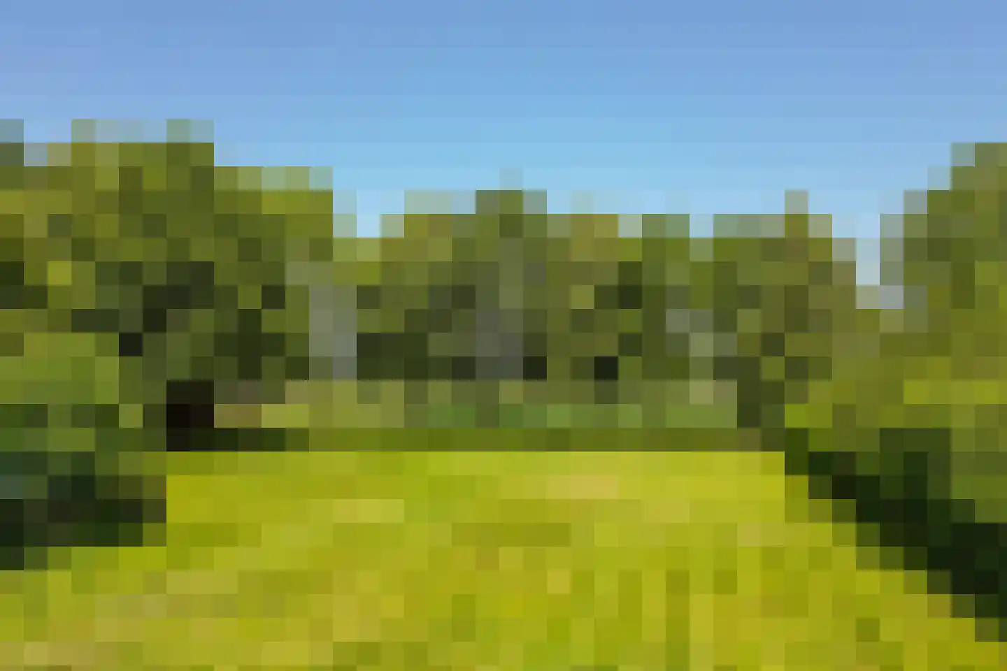 Alphensebaan 5 a Chaam thumbnail 57