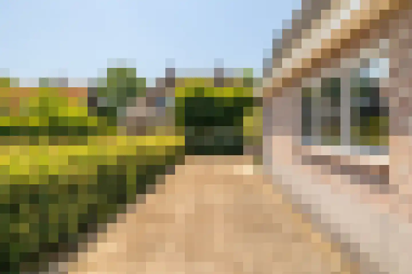 Alphensebaan 5 a Chaam thumbnail 59