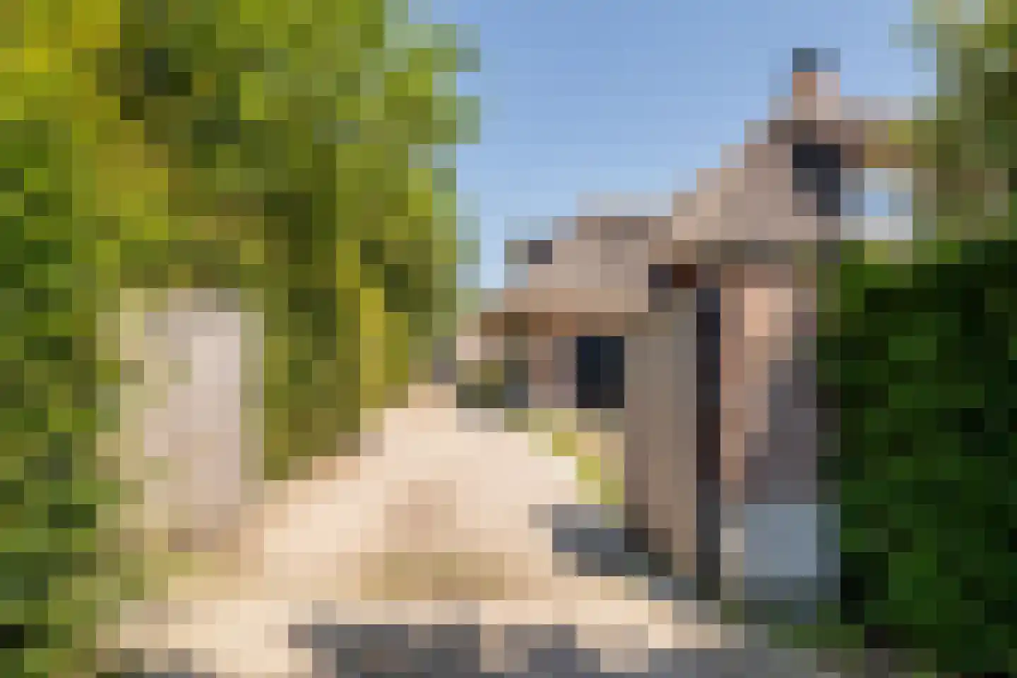 Alphensebaan 5 a Chaam thumbnail 6