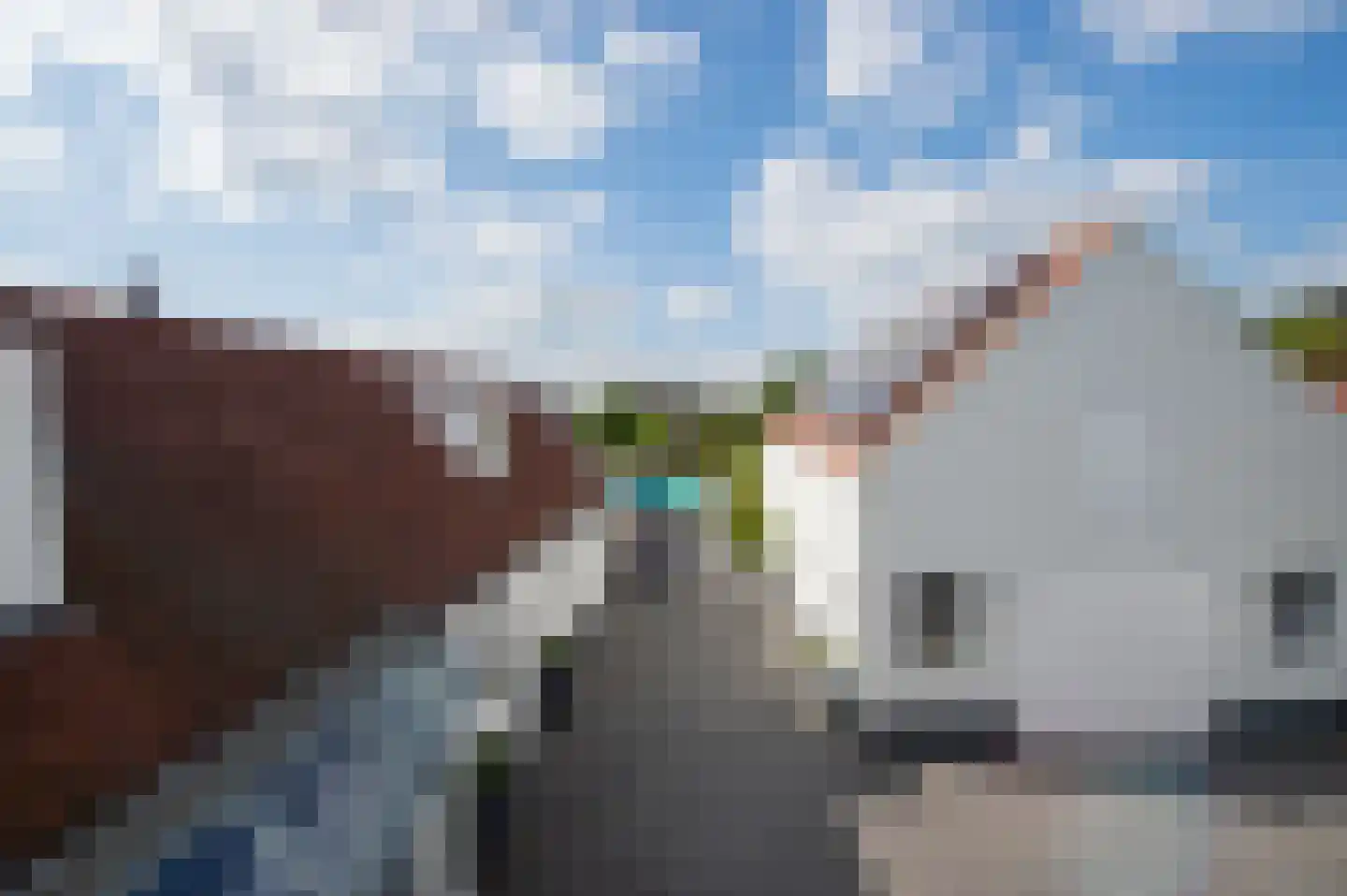 Alphenseweg 23 Baarle-Nassau thumbnail 53
