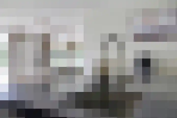 Alphenseweg 38 Gilze thumbnail 23