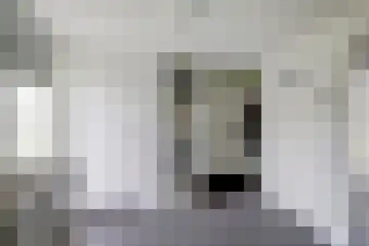 Alphenseweg 38 Gilze thumbnail 25