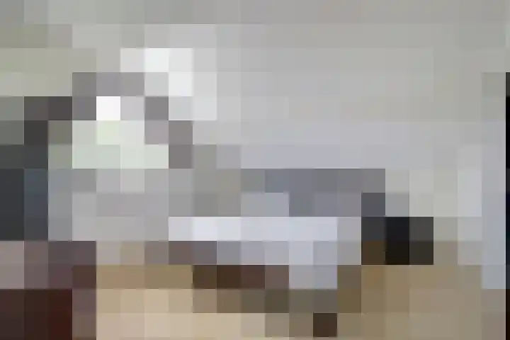 Alphenseweg 38 Gilze thumbnail 46