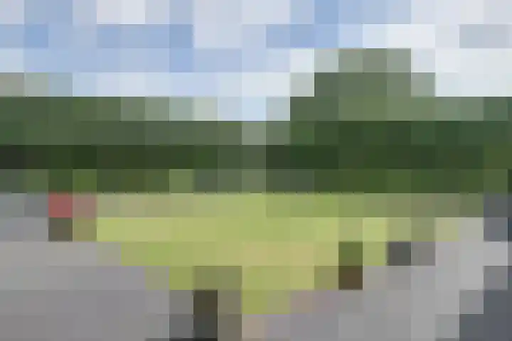 Alphenseweg 38 Gilze thumbnail 51