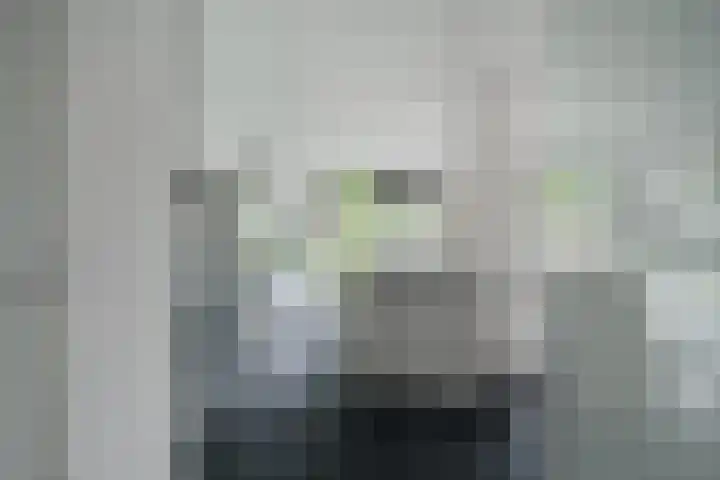 Alphenseweg 50 Gilze thumbnail 11