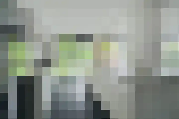 Alphenseweg 50 Gilze thumbnail 12