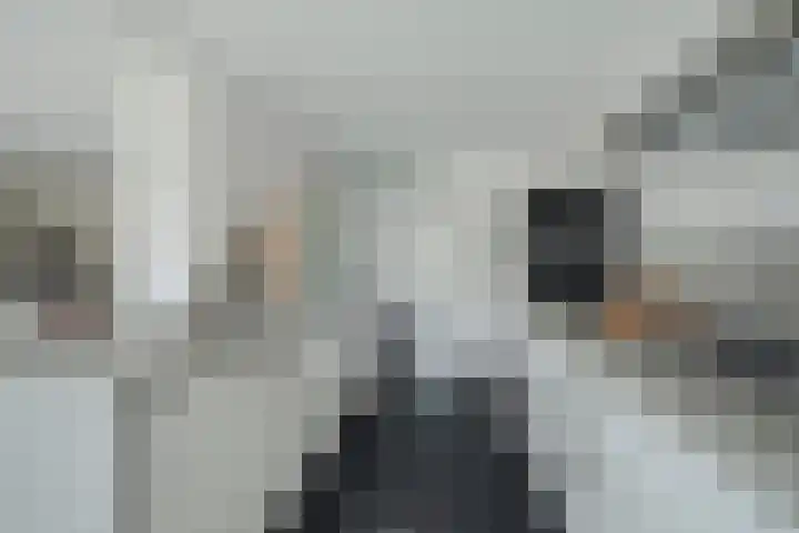 Alphenseweg 50 Gilze thumbnail 14