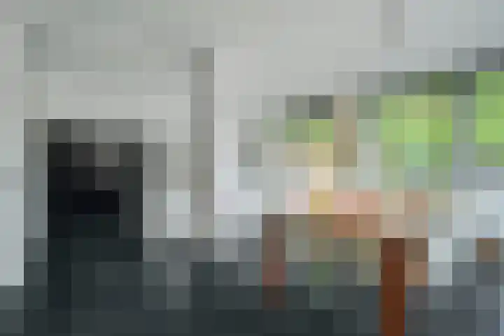 Alphenseweg 50 Gilze thumbnail 17