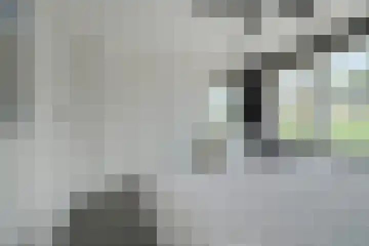 Alphenseweg 50 Gilze thumbnail 26